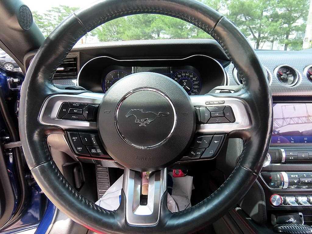 Ford Mustang - Vista 12
