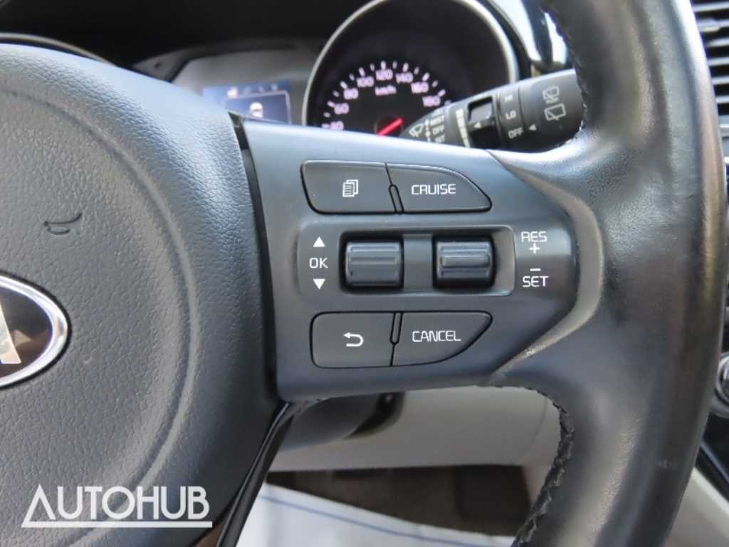 KIA Carnival - Vista 12