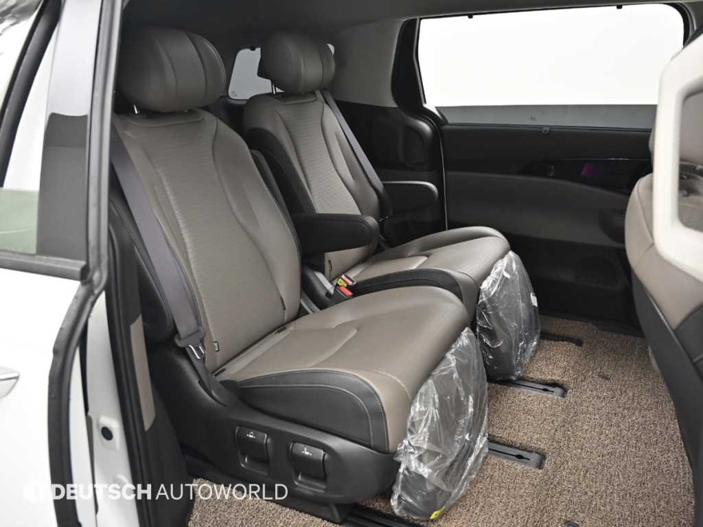 KIA Carnival - Vista 12