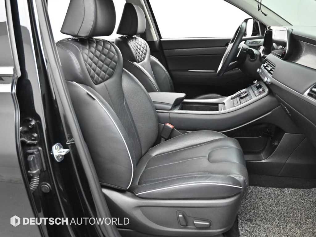 HYUNDAI Palisade - Vista 10
