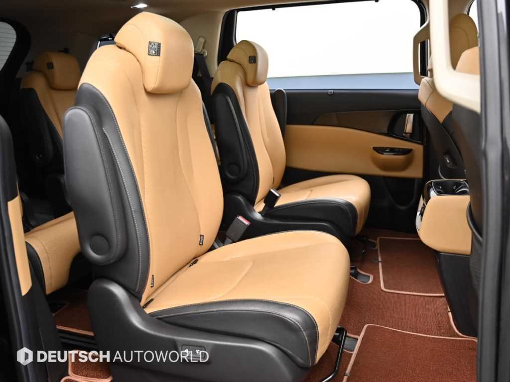 KIA Carnival - Vista 12