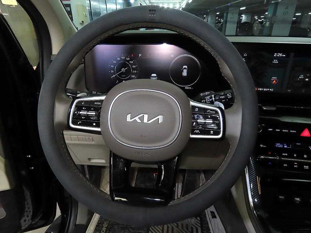 KIA Carnival - Vista 8