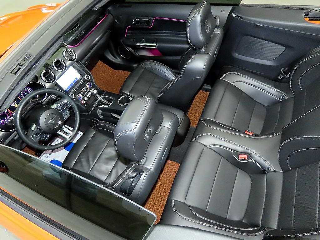 Ford Mustang - Vista 10