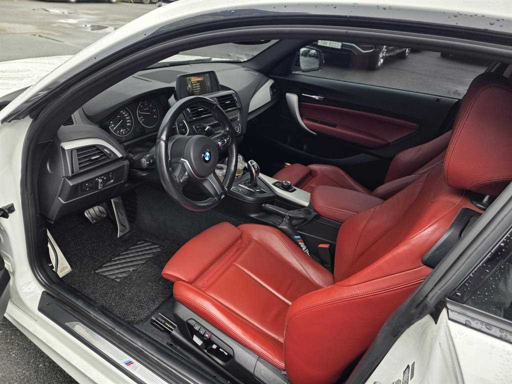 BMW 2 series - Vista 4