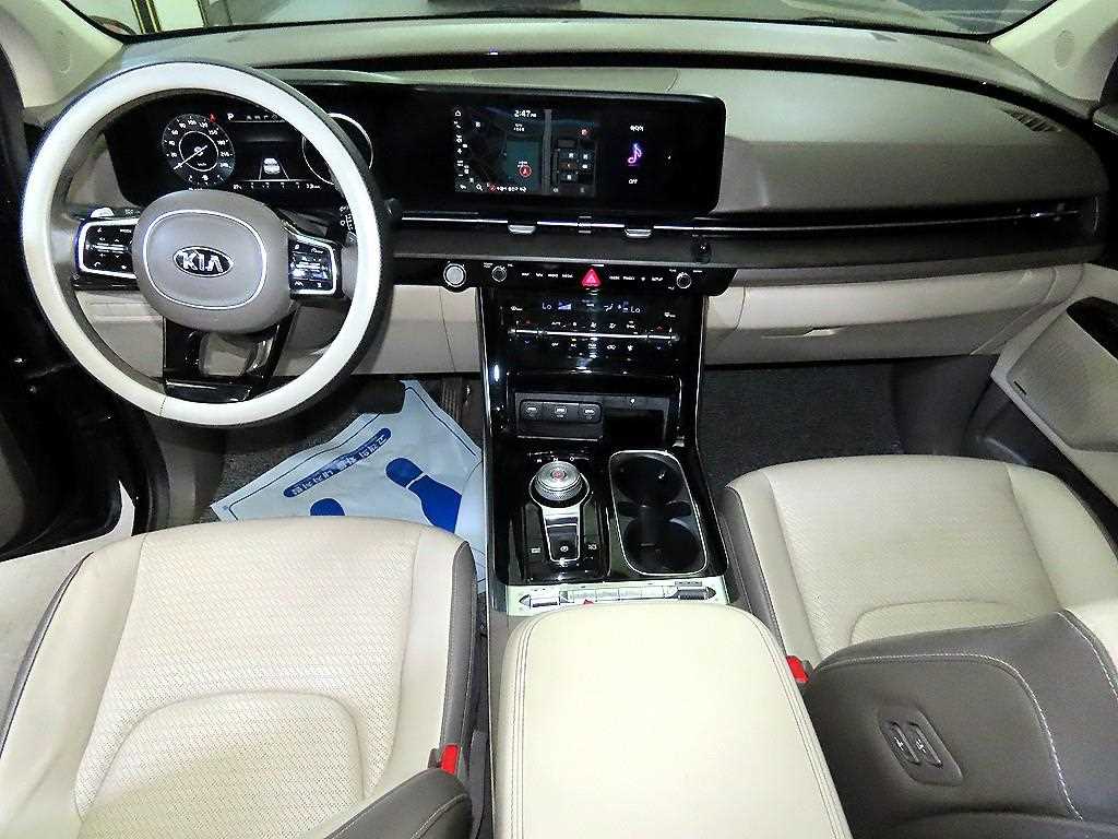 KIA Carnival - Vista 10