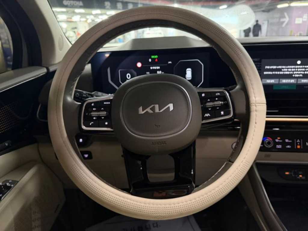 KIA Carnival - Vista 8
