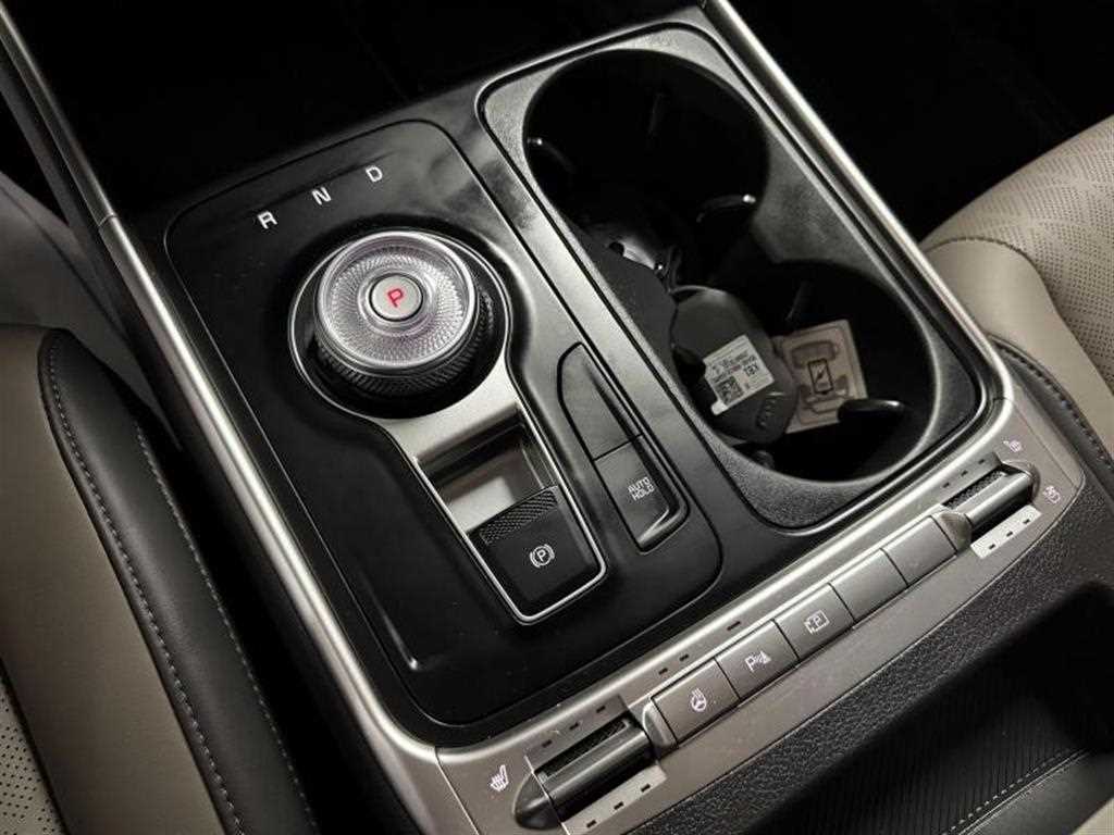 KIA Carnival - Vista 12