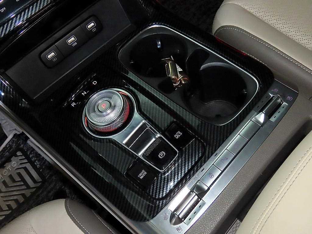 KIA Carnival - Vista 12