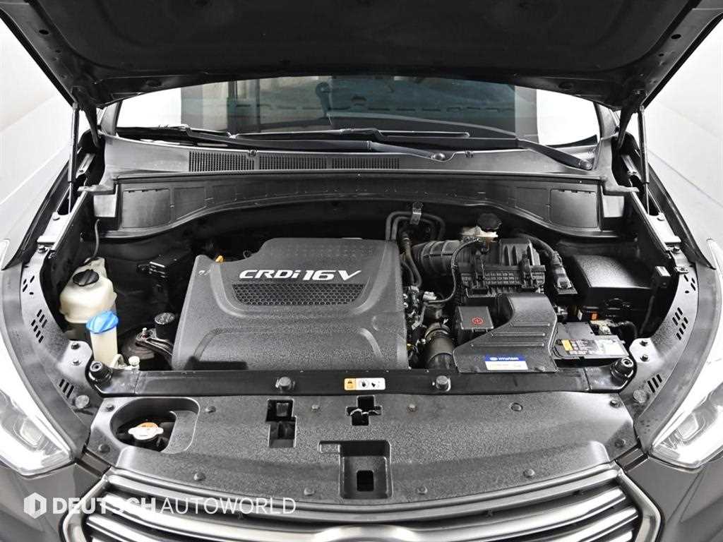 HYUNDAI Maxcruz - Vista 6