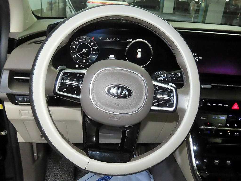 KIA Carnival - Vista 8