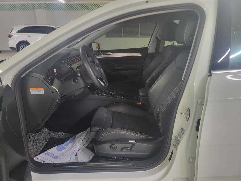 Volkswagen Passat - Vista 10