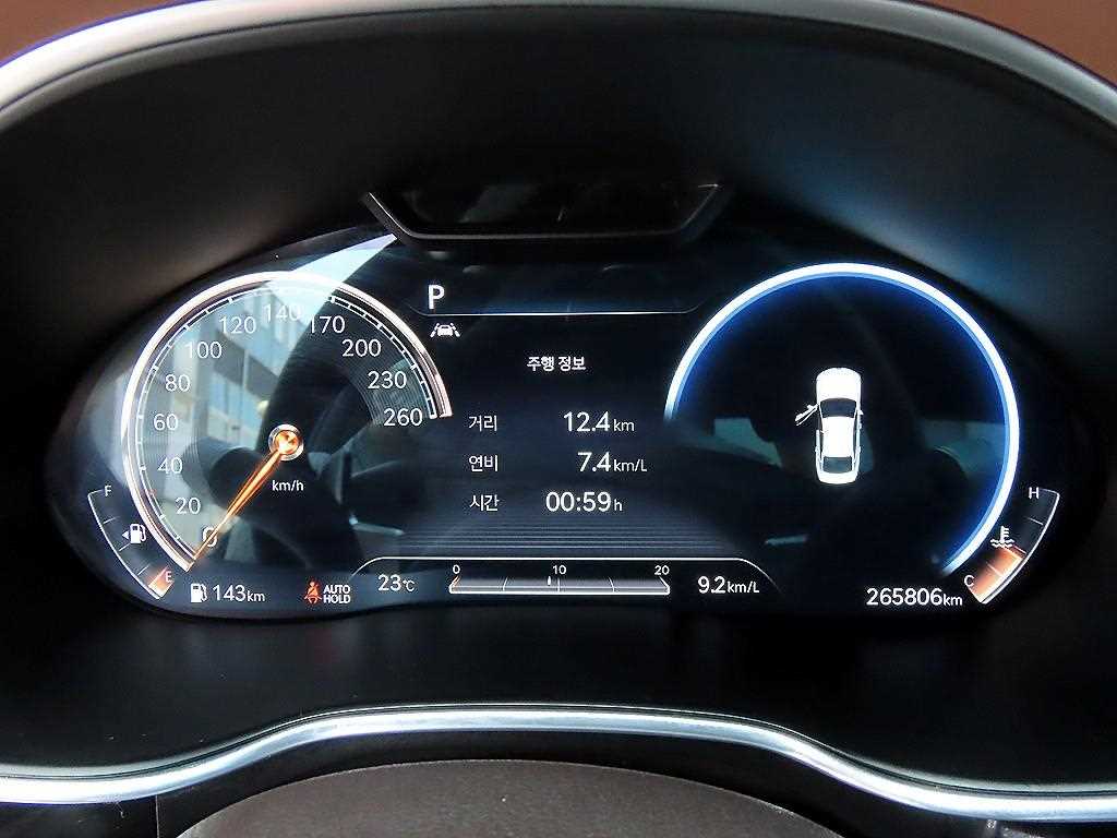 Genesis G80 - Vista 9