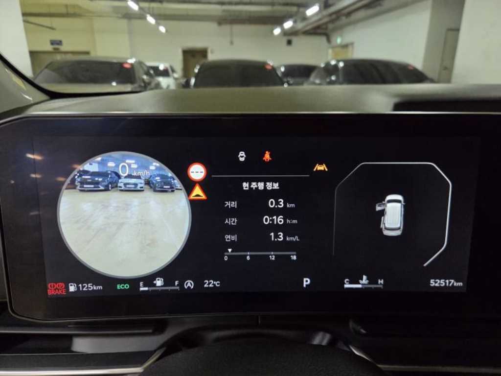 KIA Carnival - Vista 8