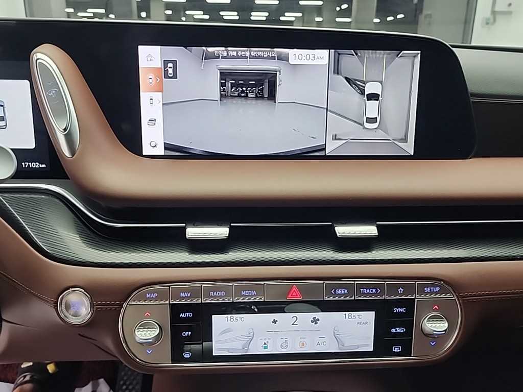 Genesis G90 - Vista 10