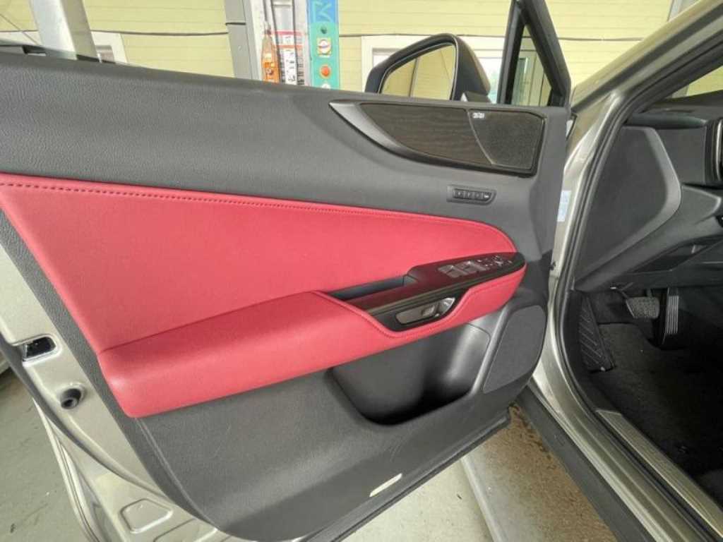 Lexus NX - Vista 11