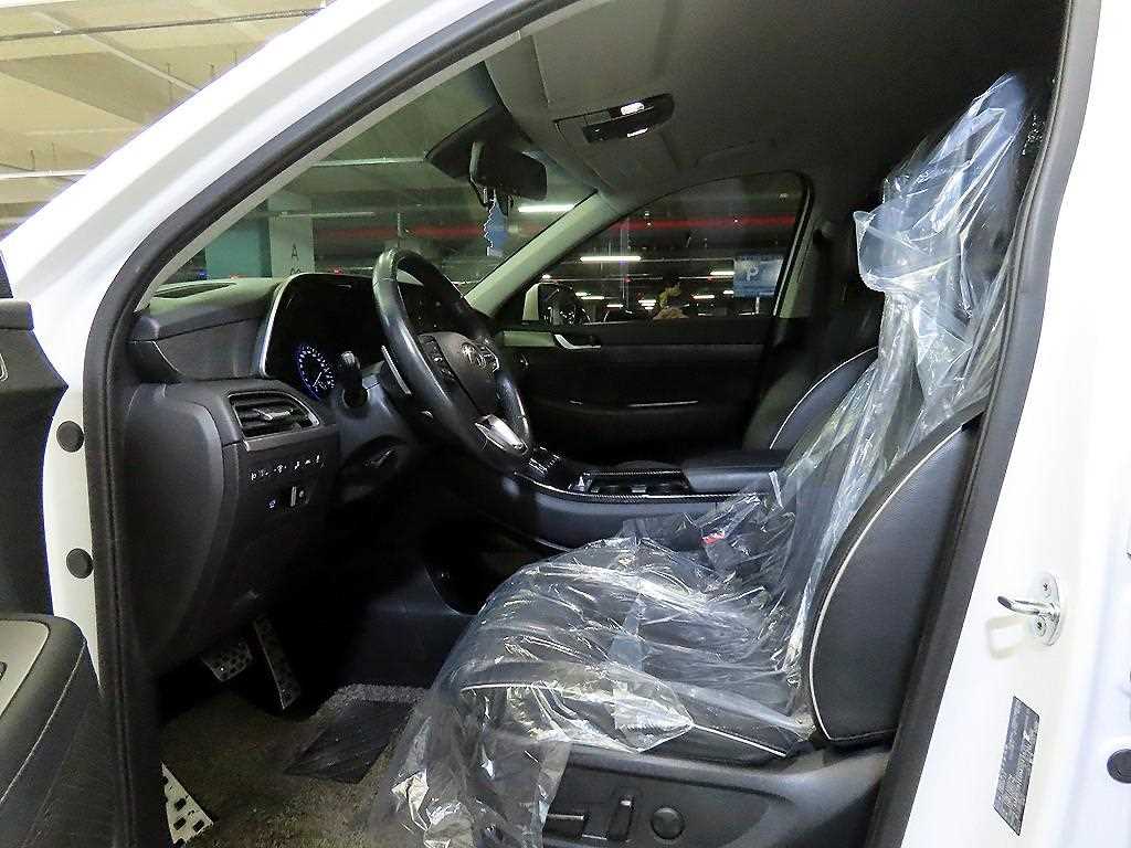 HYUNDAI Palisade - Vista 6