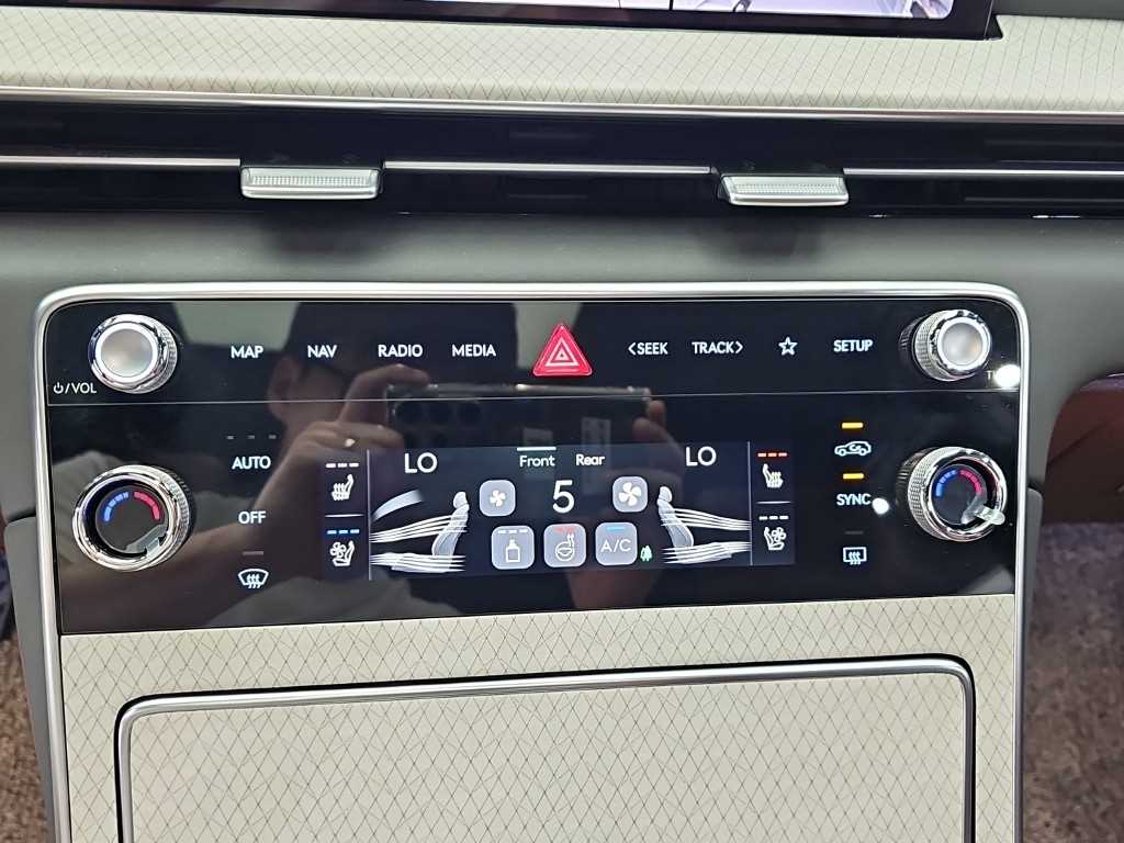 Genesis GV80 - Vista 10