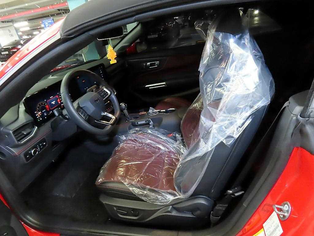 Ford Mustang - Vista 11