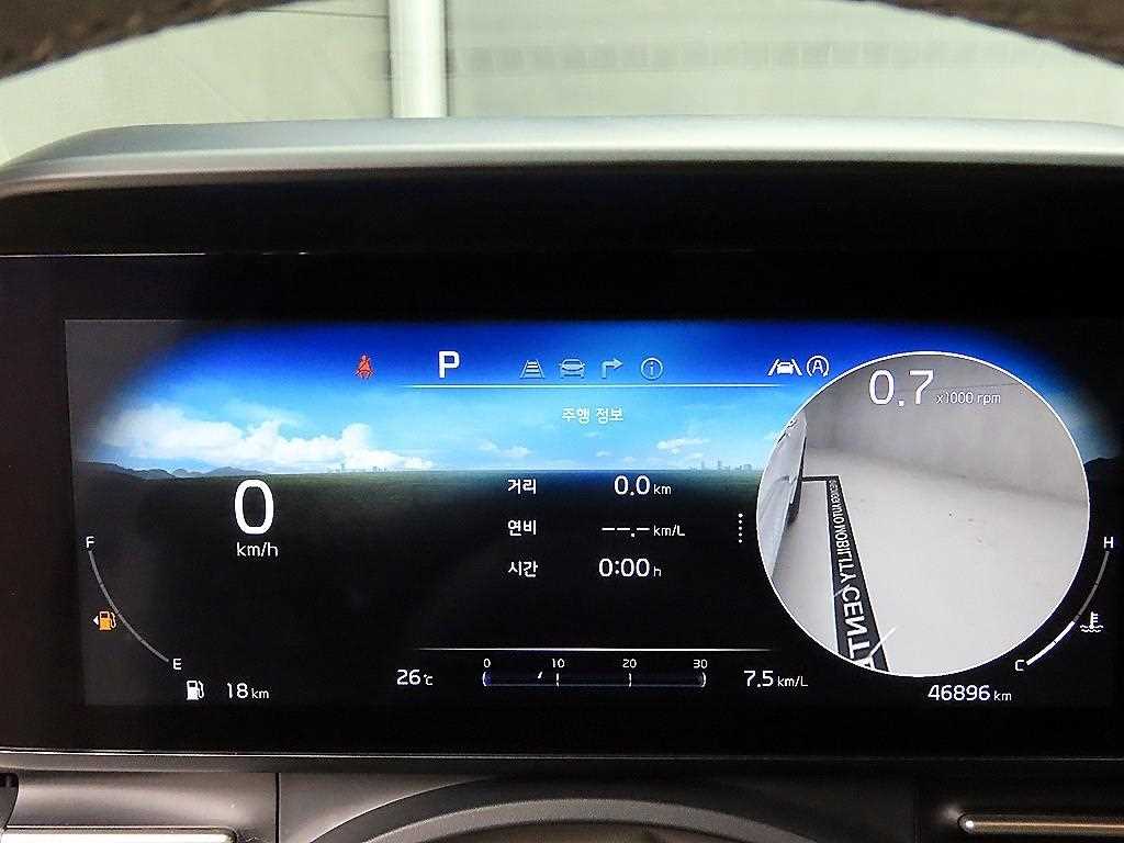 KIA Carnival - Vista 8