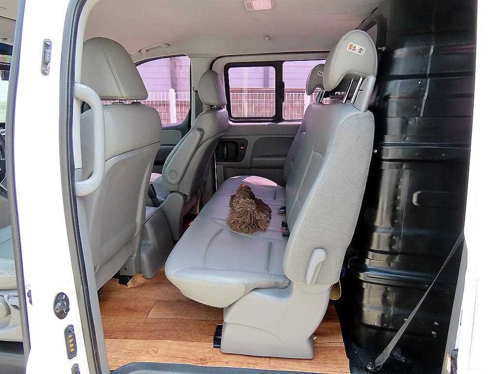 HYUNDAI Starex - Vista 6