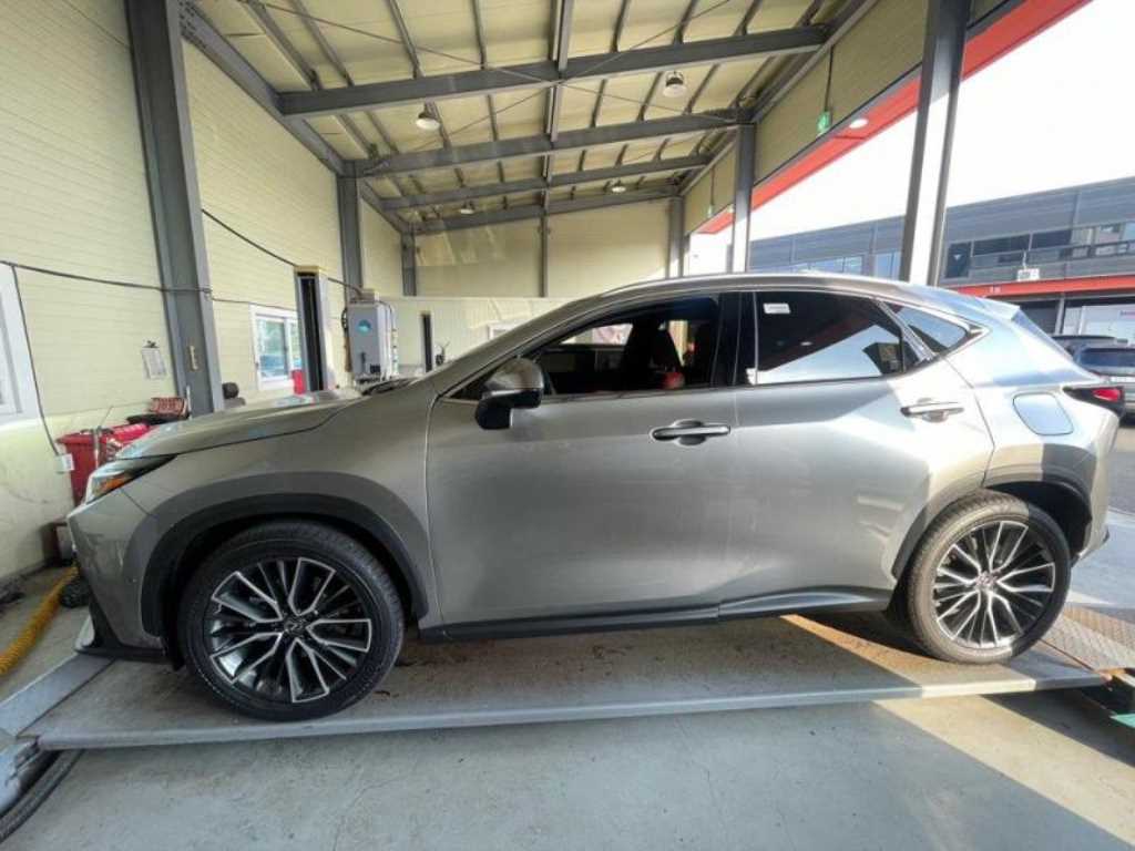 Lexus NX - Vista 3