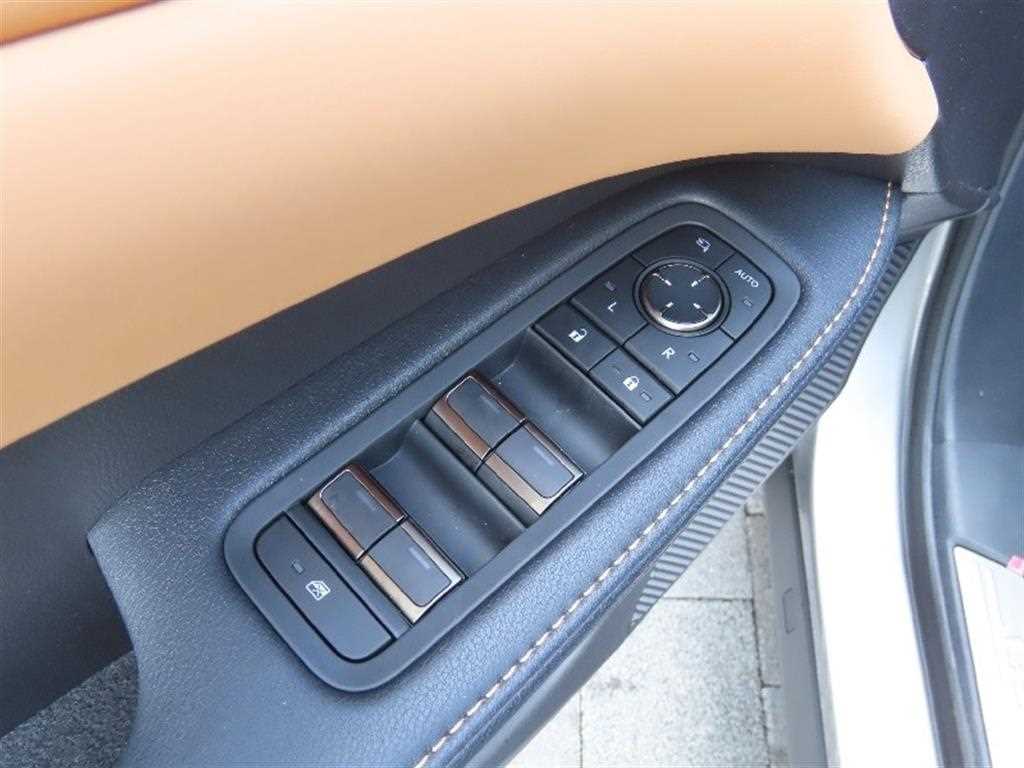 Lexus RX - Vista 12