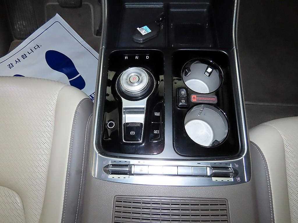 KIA Carnival - Vista 12