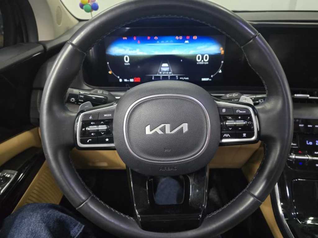 KIA Carnival - Vista 4