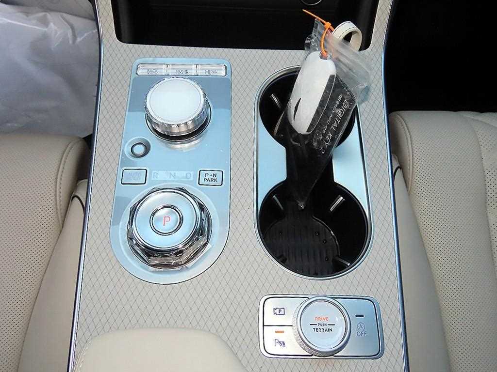 Genesis GV80 - Vista 11