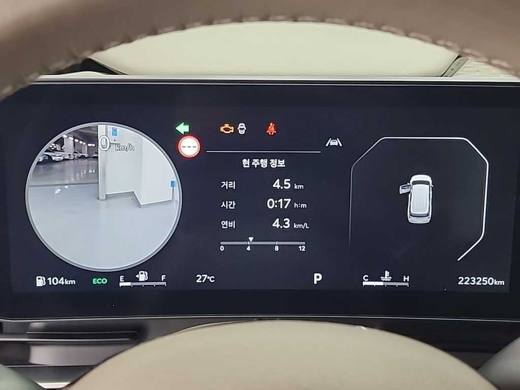 KIA Carnival - Vista 6