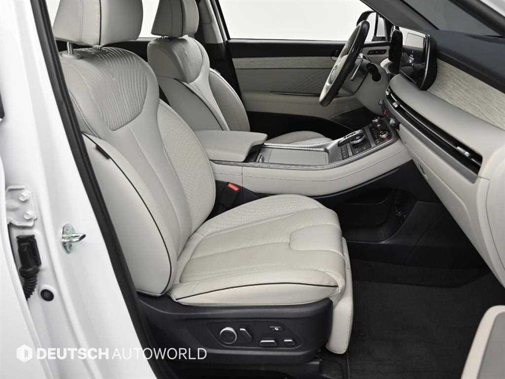 HYUNDAI Palisade - Vista 10