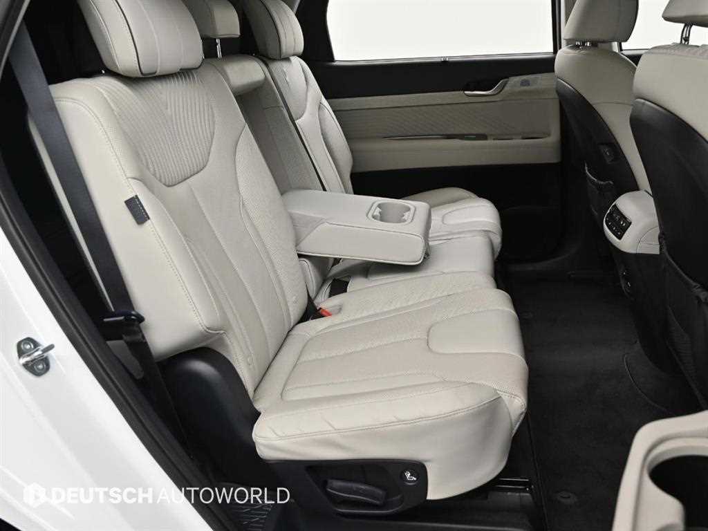 HYUNDAI Palisade - Vista 12