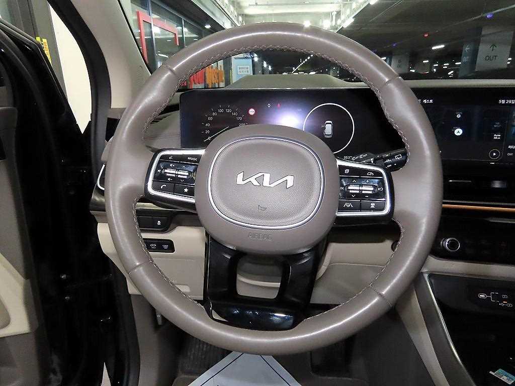 KIA Carnival - Vista 8