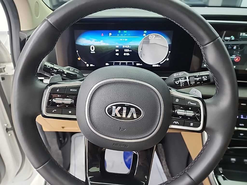 KIA Carnival - Vista 9