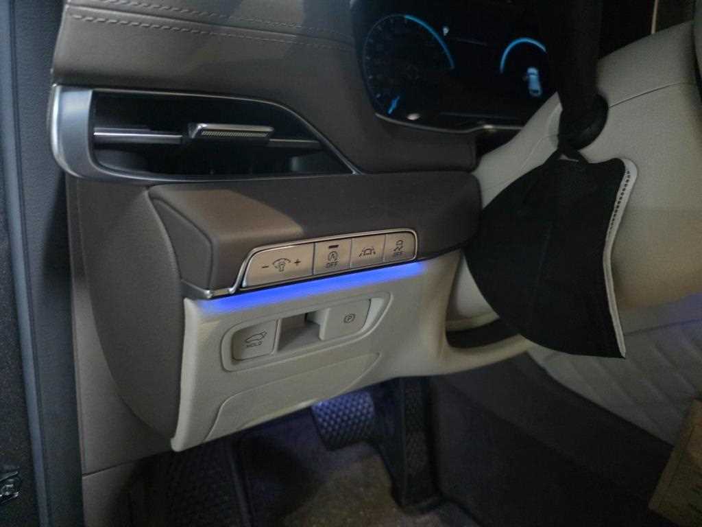 Genesis GV80 - Vista 10
