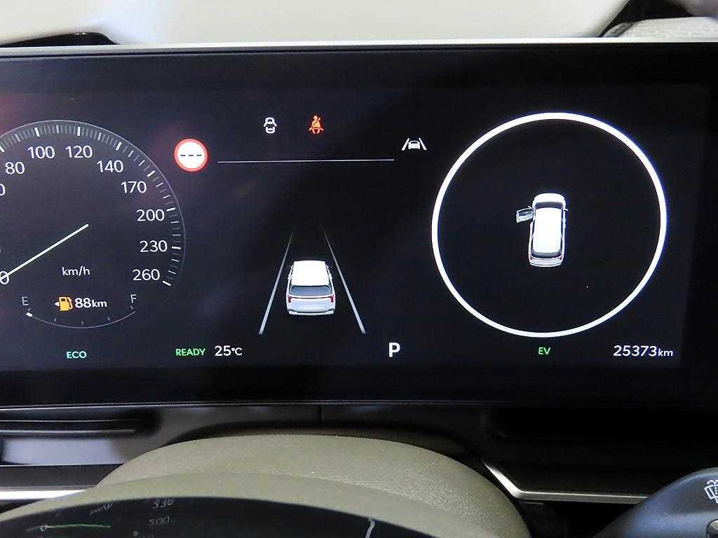 KIA Carnival - Vista 9