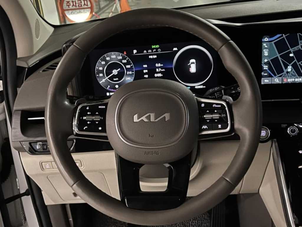 KIA Carnival - Vista 12