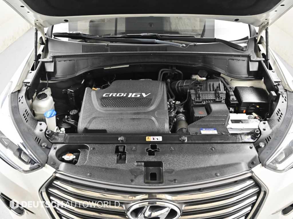 HYUNDAI Maxcruz - Vista 6
