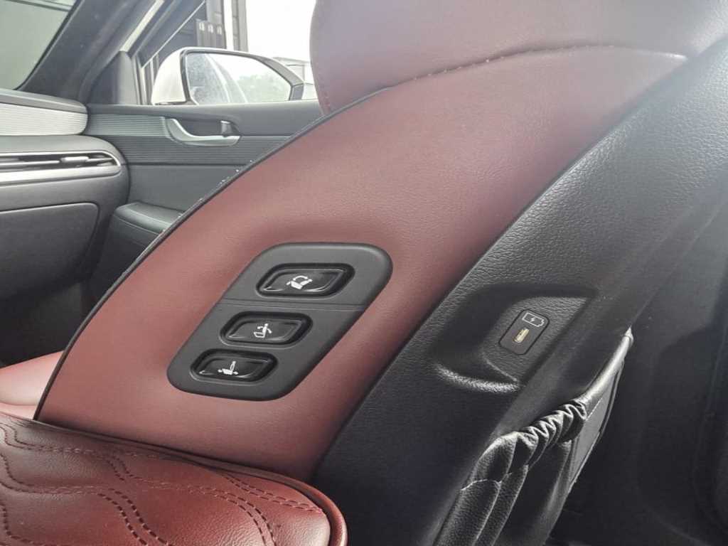 HYUNDAI Palisade - Vista 10
