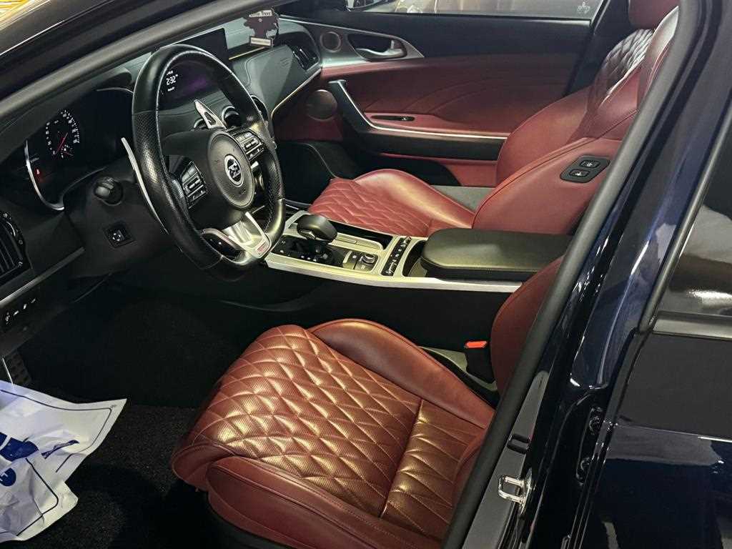 KIA Stinger - Vista 9