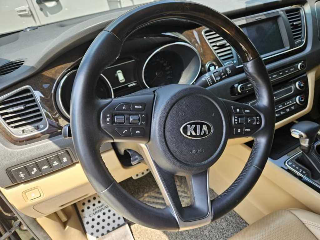 KIA Carnival - Vista 8