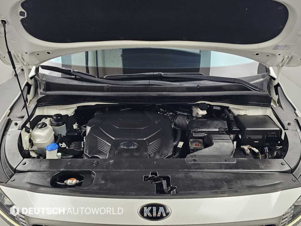 KIA Carnival - Vista 6