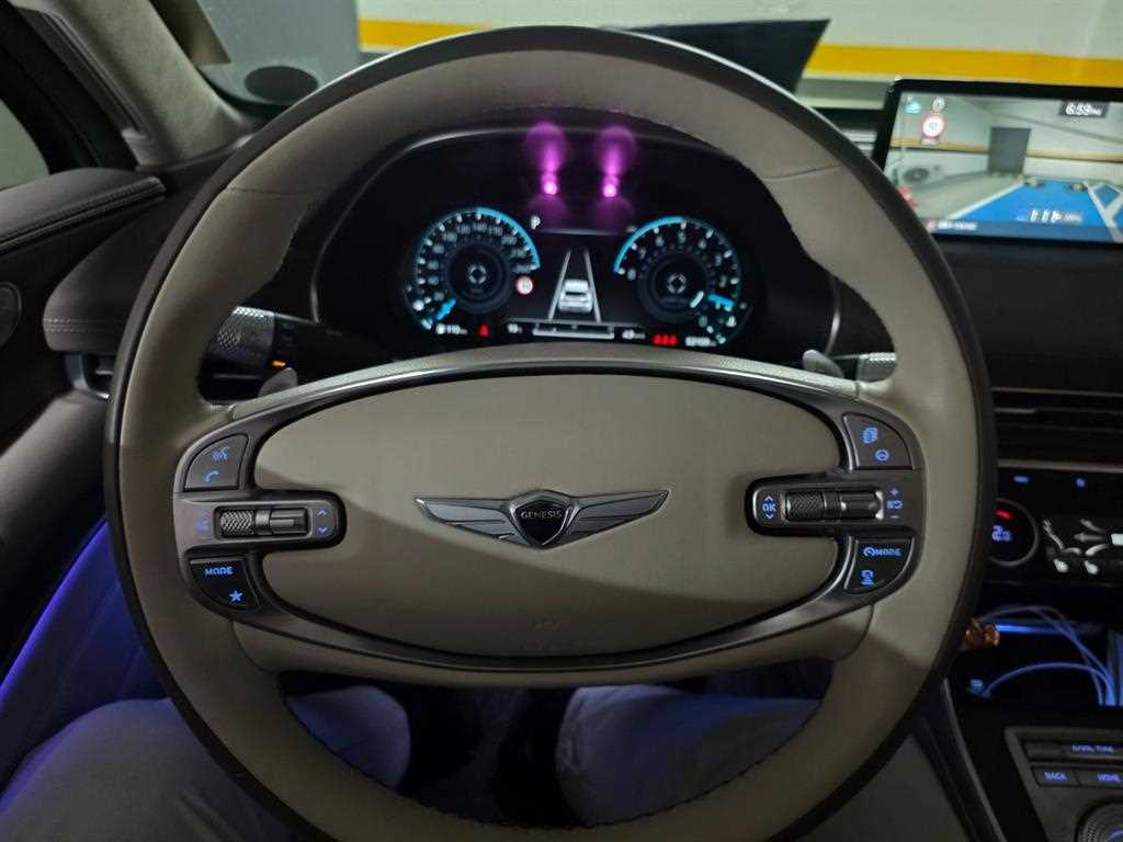 Genesis GV80 - Vista 12
