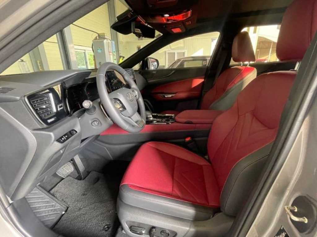 Lexus NX - Vista 10