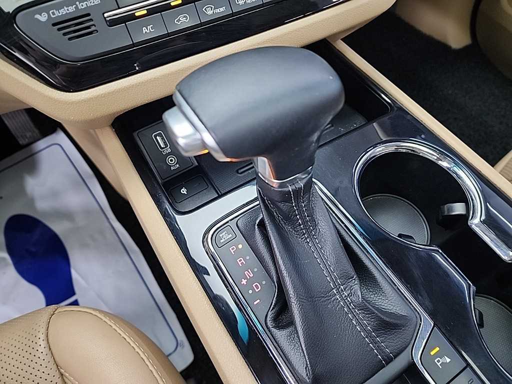 KIA Carnival - Vista 8