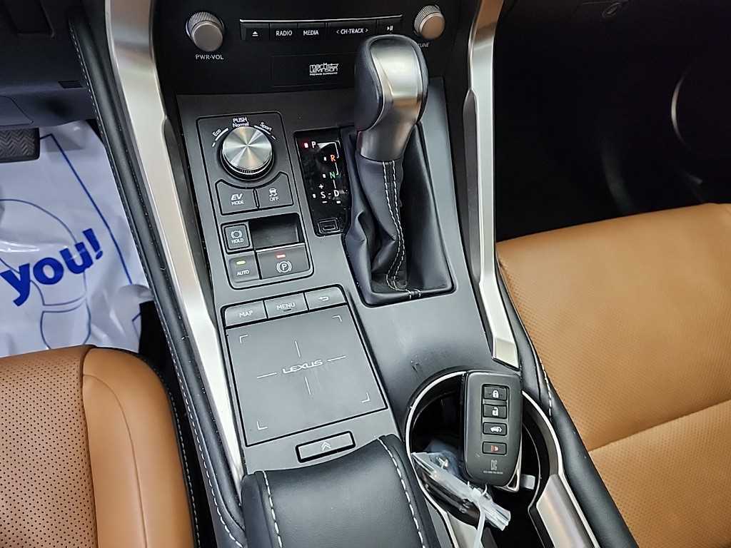 Lexus NX - Vista 8