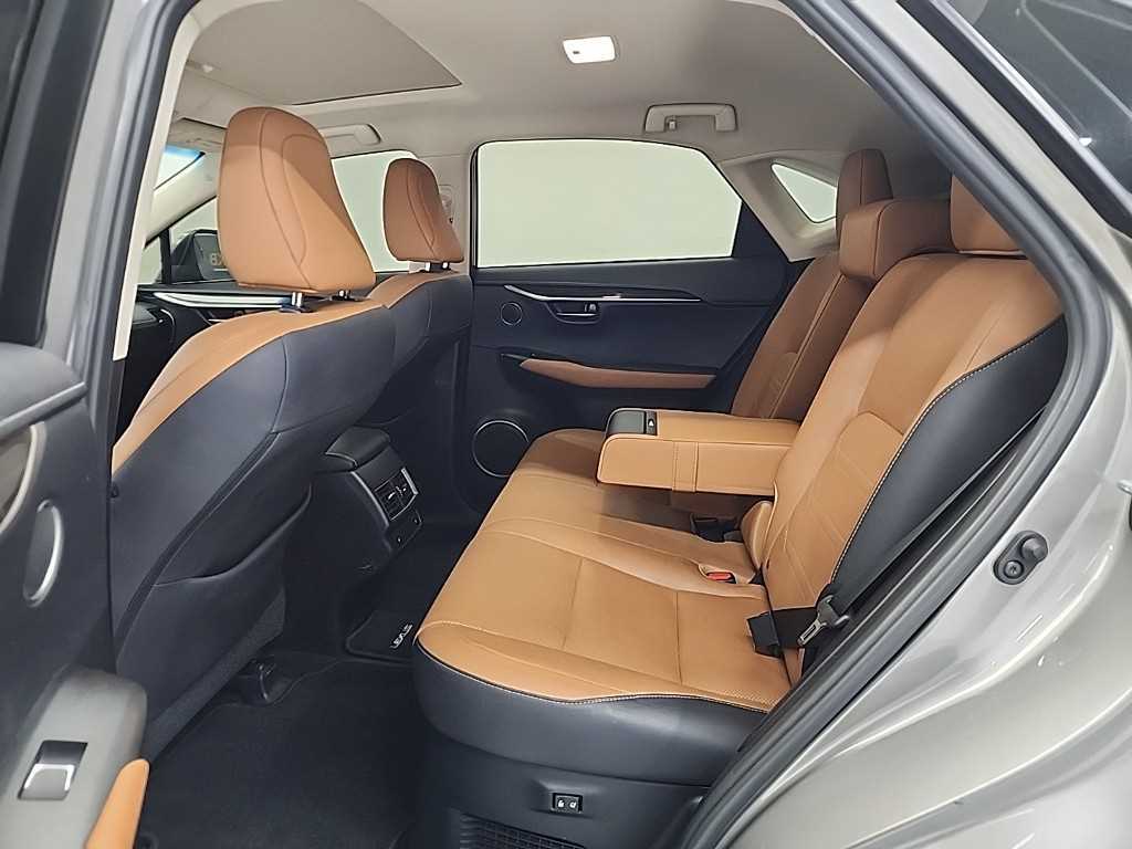 Lexus NX - Vista 12