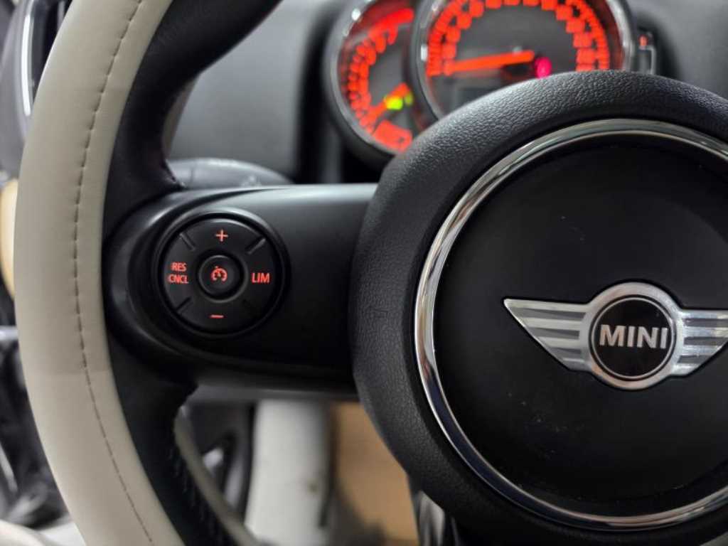 Mini Countryman - Vista 10