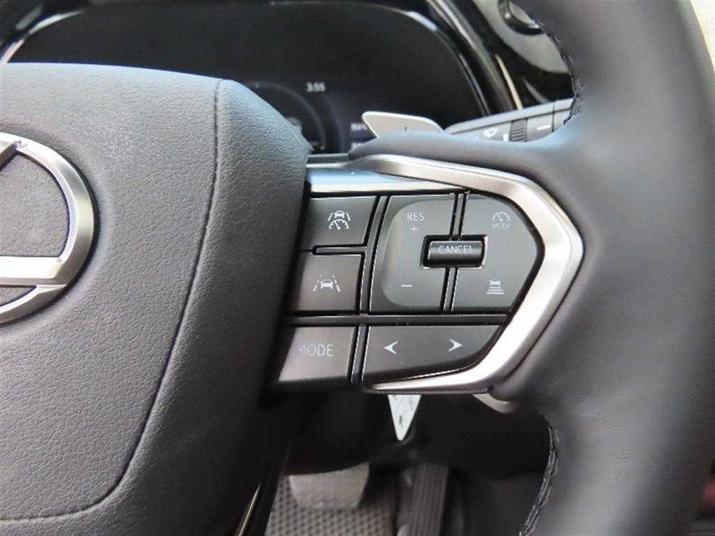 Lexus RX - Vista 11