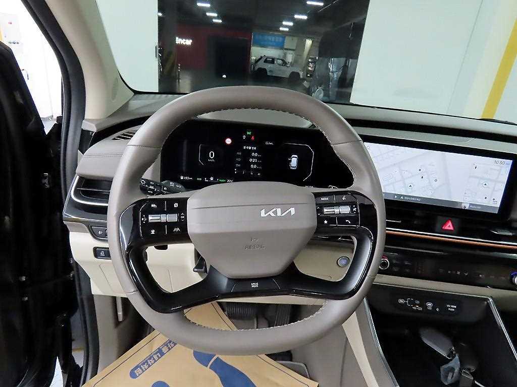KIA Carnival - Vista 9